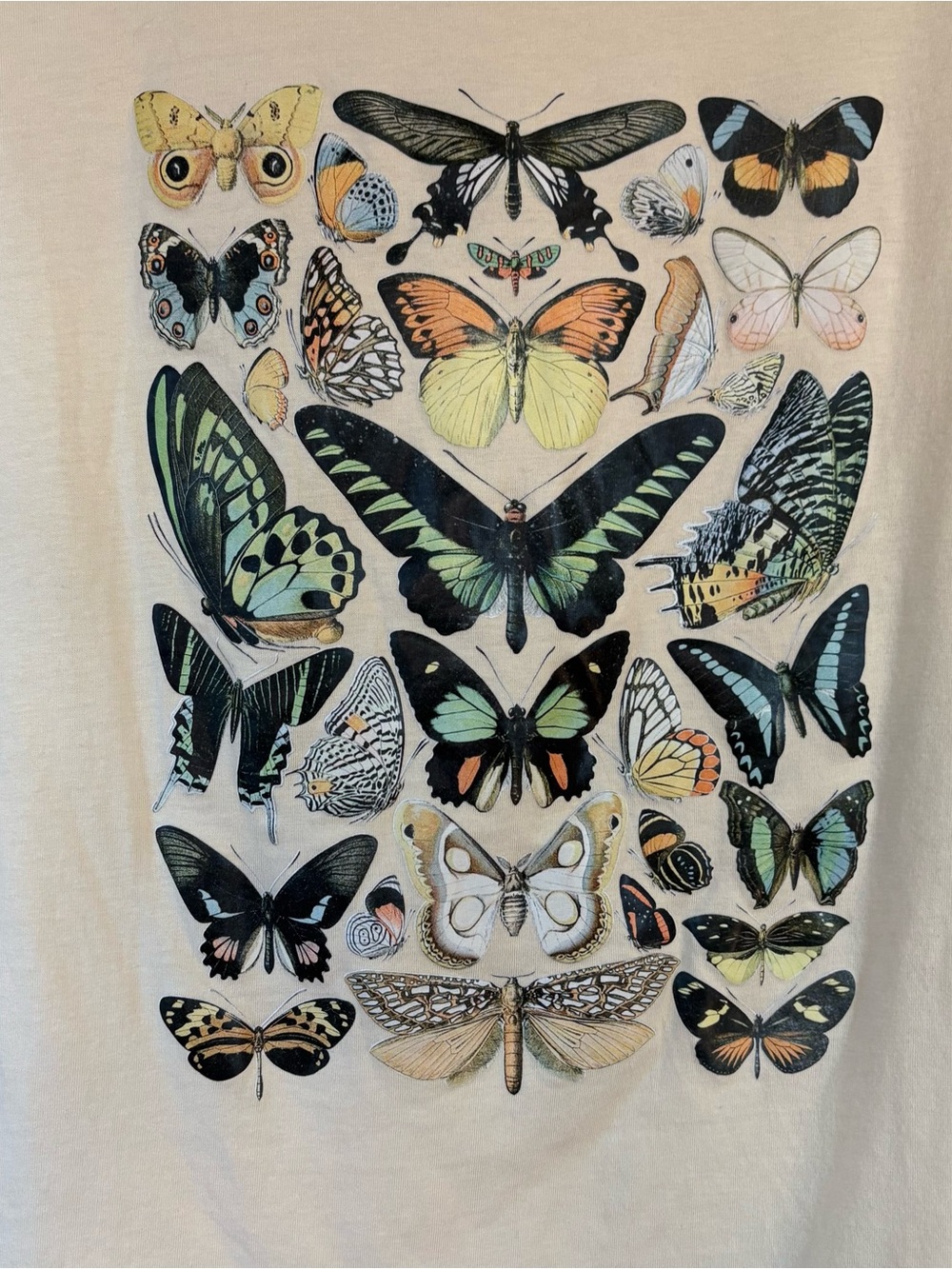 Butterfly Print Tee - Picture 2 of 3